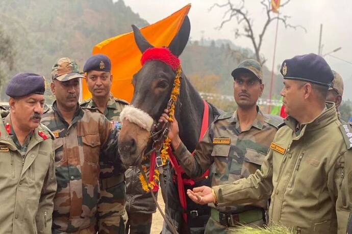 Indian Army का गुमनाम 'योद्धा'..6500Kg भार उठाया, 750KM चला, 15 हजार फीट ऊंचाई पर डटा रहा, अब मिला सम्मान