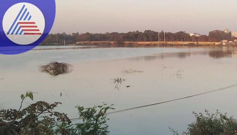 The water of the Mutt lake is emptied through a motor pumpset at Chitradurga rav