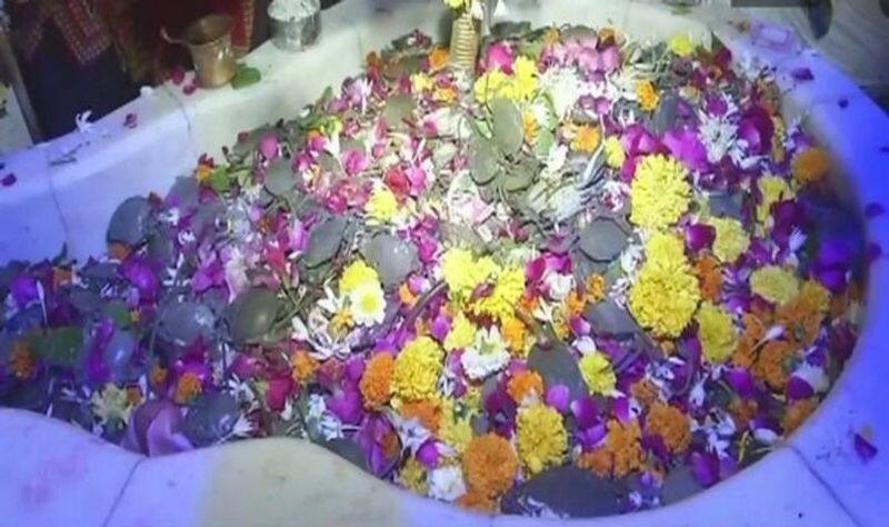 Gujarat Devotees offer live crabs to Lord Shiva at Ramnath Shiv Ghela temple in Surat