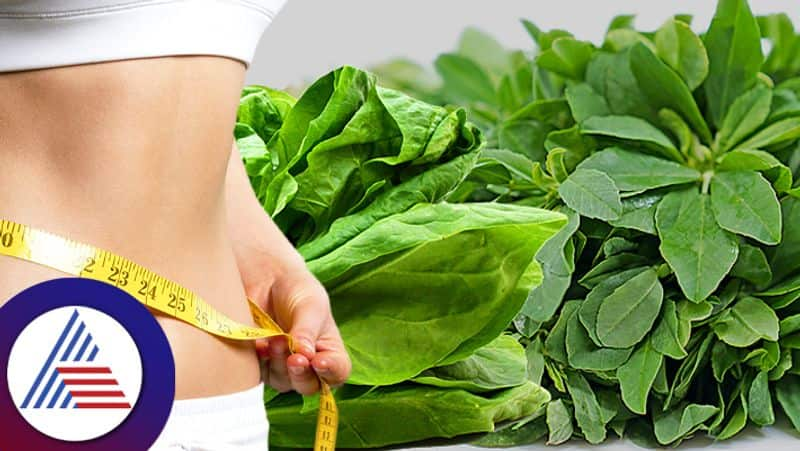 From losing weight to preventing cancer.. amazing benefits of eating spinach.. Rya