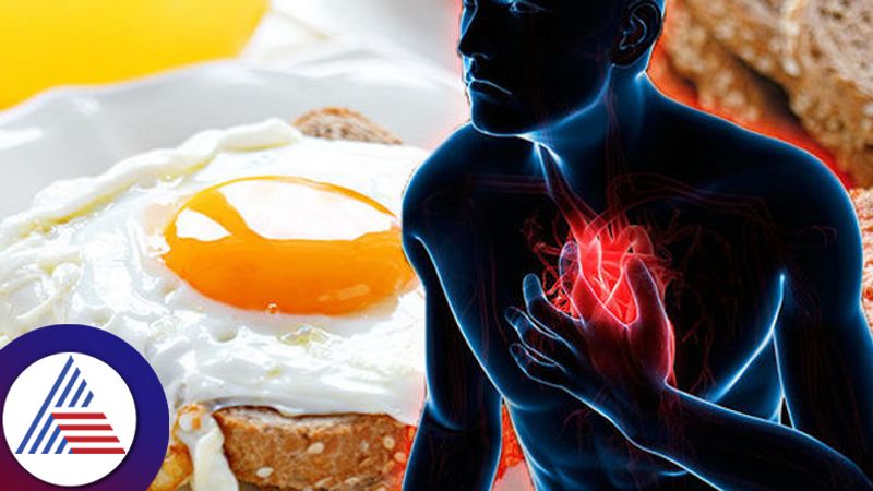 Health tips: What is the link between Egg and Heart attack Vin