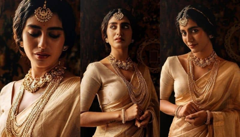 Winking Queen Priya Prakash Varrier Looks Gorgeous In Golden Saree, photos viral sgk