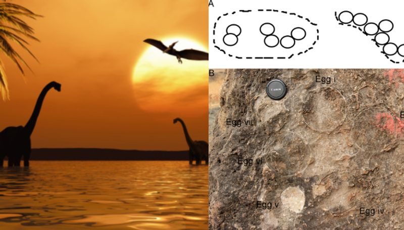 Paleontologists in India have found 92 dinosaur nesting sites and 256 egg fossils