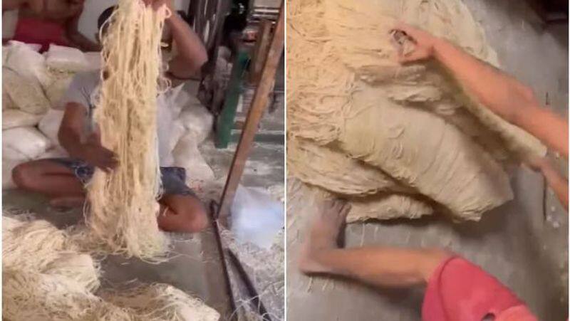 Video Of Noodles Being Made In Factory Will Shock