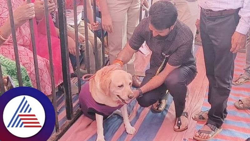 BJP national general secretory CT Ravi in Chikkamagaluru dog show with 777 charlie vcs 