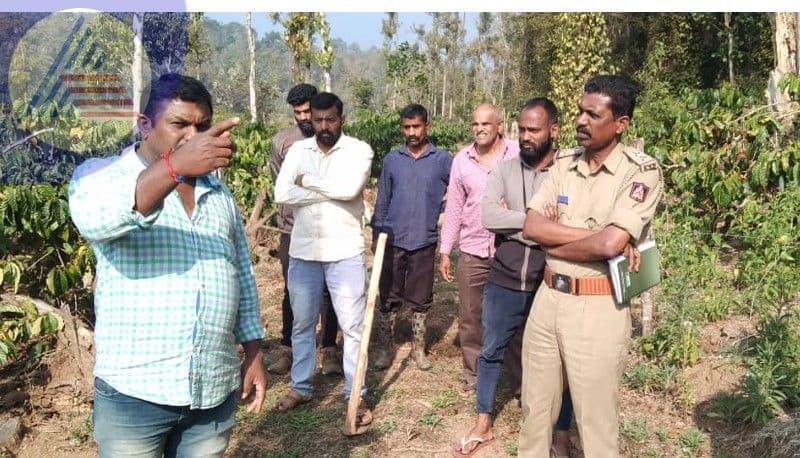 Miscreants who have slaughtered cows in coffee plantation at kodagu rav