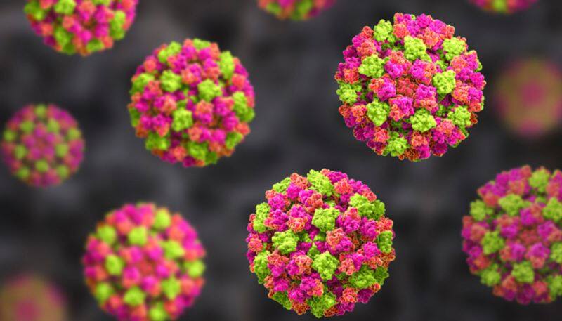 What Are the Symptoms of Norovirus and How Long Do They Last full details here