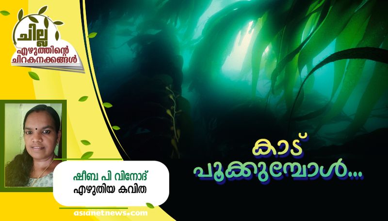 chilla malayalam poem by Sheeba P Vinod