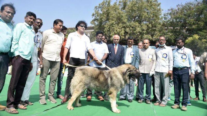 People throng to see Rs 20-crore dog at Ballari Utsav