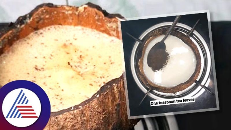 Strange Video Of Chai Being Prepared Inside A Coconut Shell Goes Viral Vin