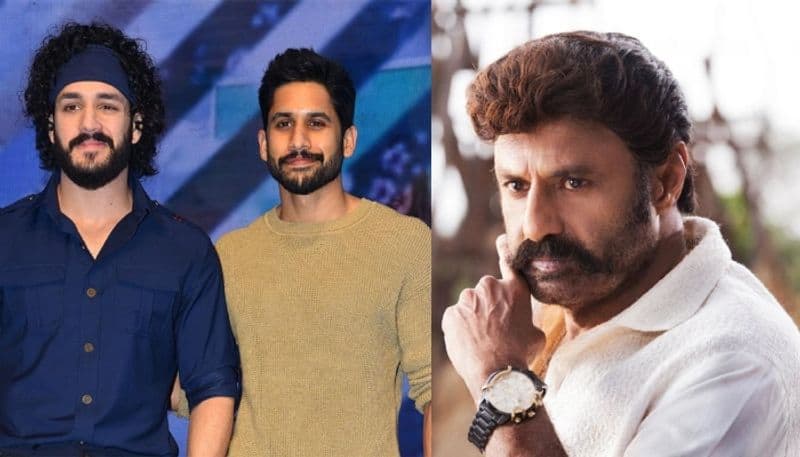 naga Chaitanya and Akhil reacts to Balayya's Akkineni Tokkineni comment sgk