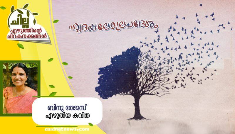 chilla malayalam poem by Bindhu thejas