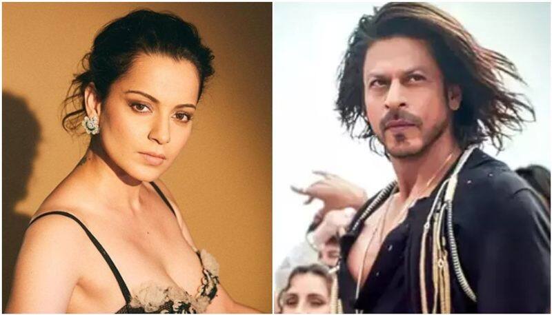 Kangana ranaut about Shah Rukh Khan Pathan success she says India has only loved the Khans sgk