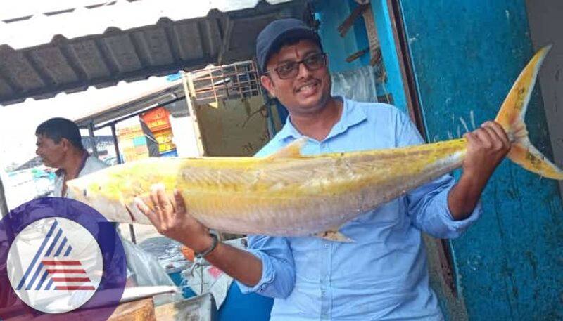 Golden fish caught in fishermen net in Udupi How did the Atlantic fish come here sat