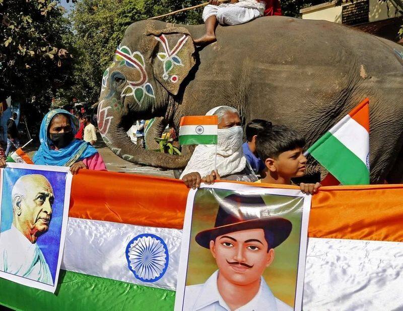 elephant gomathi paid its respect to national flag in sankarankovil temple