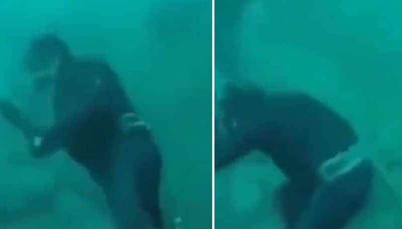 diver escapes from shark the video goes viral 