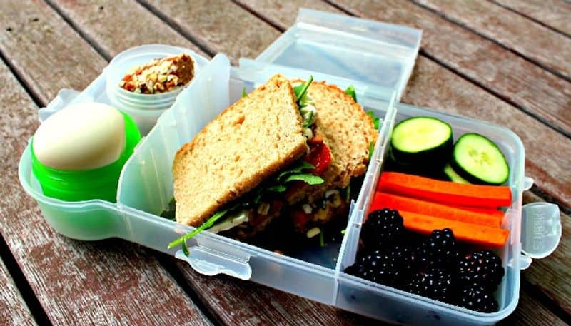 What are the harmful effects of plastic lunch box rsl