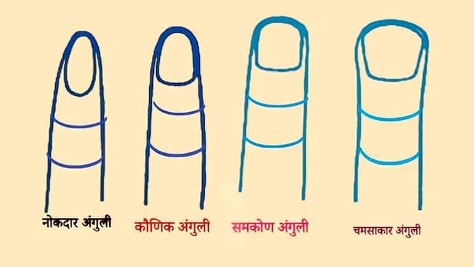 4 प्रकार की होती हैं अंगुलियां