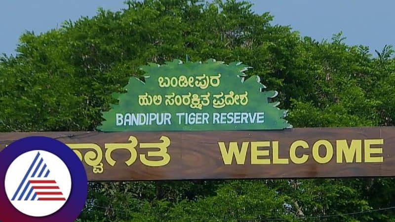 Tourist Enjoy Safari in Bandipur National Park in Chamarajanagara grg