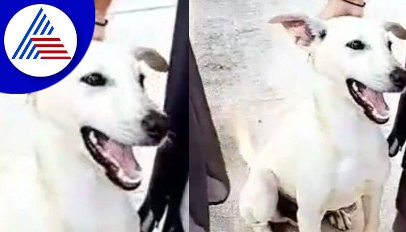 A college warden killed a puppy brutally at udupi rav