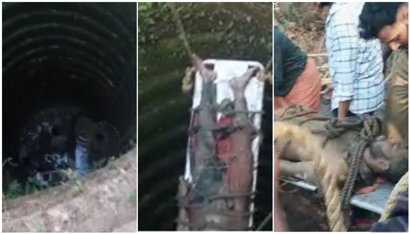 fell into a well 60 feet deep rescue operation