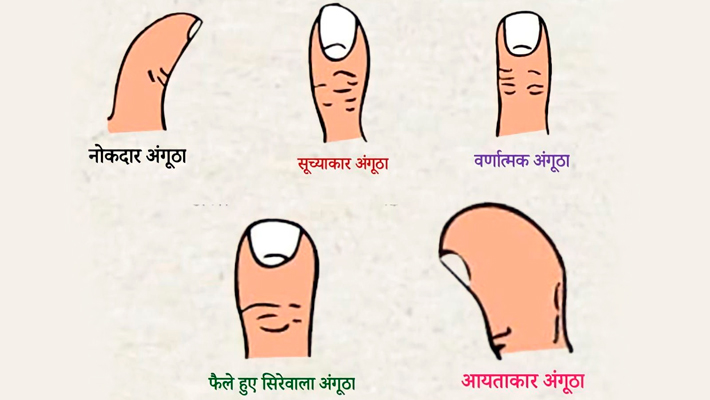 कितने प्रकार के होते हैं अंगूठे? कितने प्रकार के होते हैं अंगूठे?