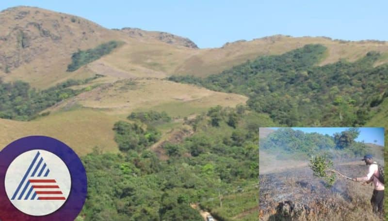 Forest department worried about forest fire Use of fireline weapon to prevent fire spread sat