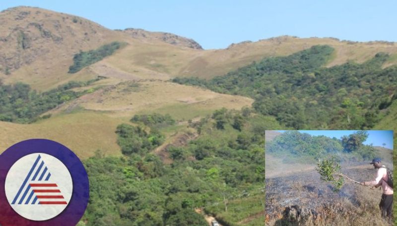 Forest department worried about forest fire Use of fireline weapon to prevent fire spread sat