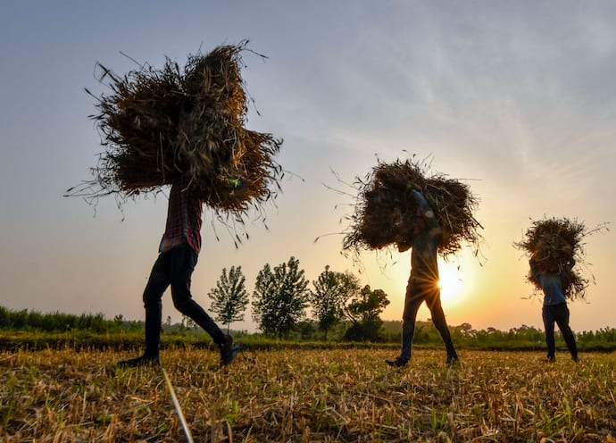 FARMER