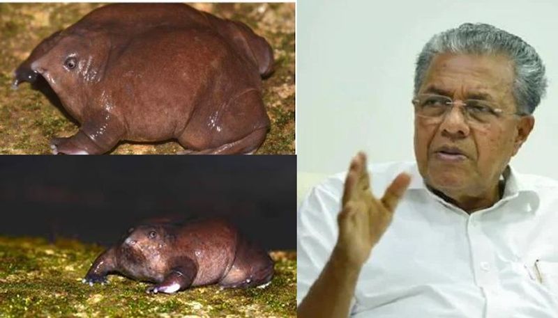 purple frog not declared as kerala official frog vvk