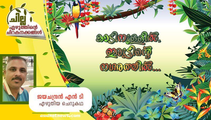 chilla malayalam  short story by Jayachandran NT bkg