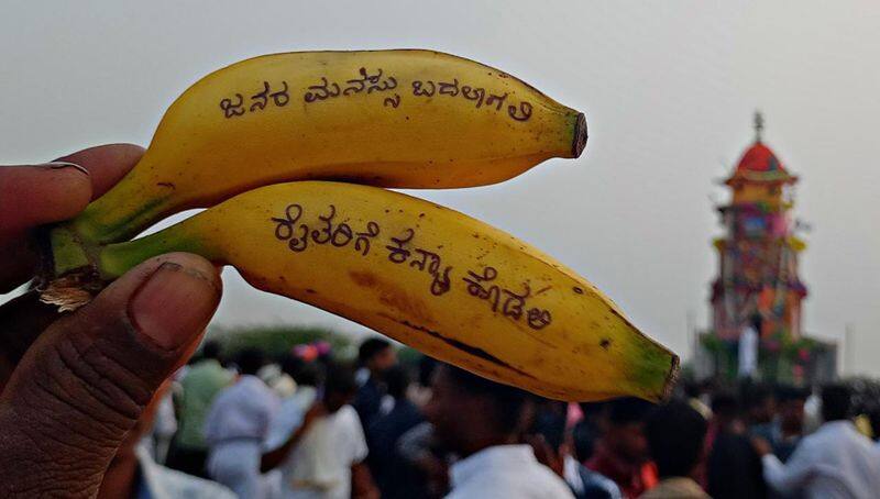 Farmers who wrote on a banana and threw it on the chariot saying A female ax for farmers at vijayanagara gvd