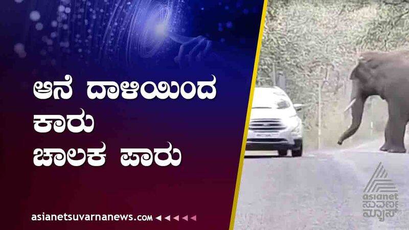 Elephant attack on Yallapur Dandeli route in Uttara Kannada district suh