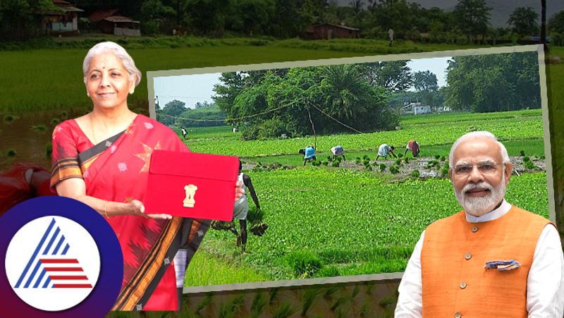 Union Budget 2023 FM Announced to Launch PM Pranam Scheme What is it details here