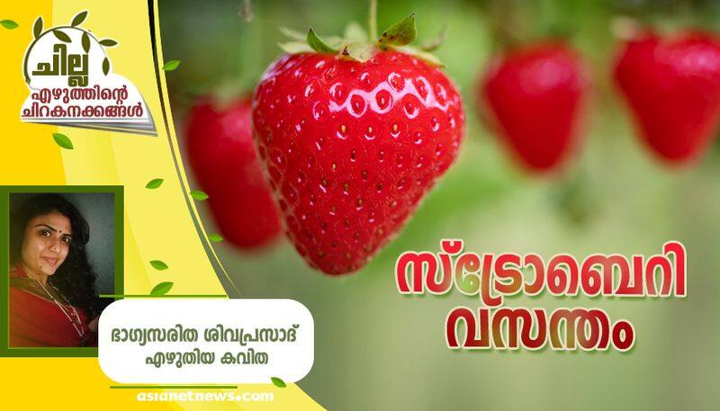 chilla malayalam poem by Bagyasarita Shivaprasad bkg