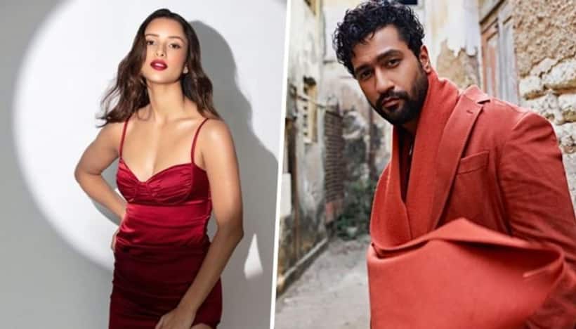 Triptii Dimri, Vicky Kaushal starrer untitled film to release on this date; read on to know