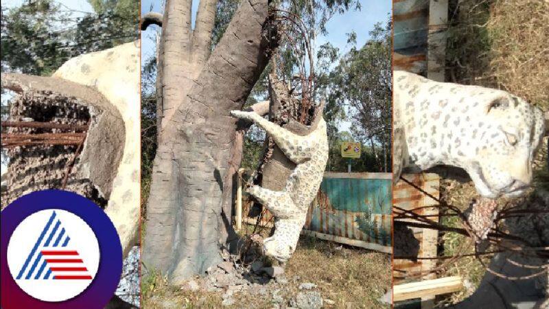 The leopard statue that used to welcome tourists is dilapidated rav