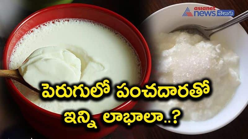 Health Benefits of Eating Curd with Sugar 