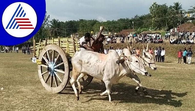 Chakkadi Yatra Held in Despite the Restriction in Belagavi grg