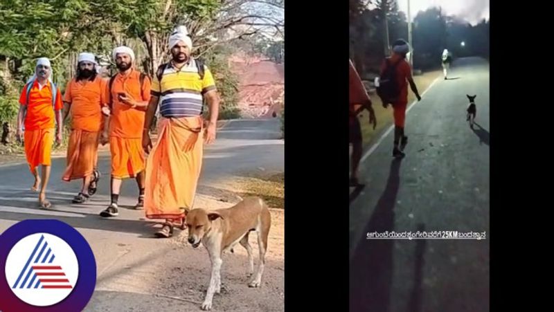 Stray dog walks over 25kms with  devotees to Sringeri and disappeared gow