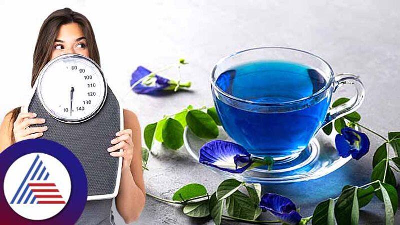 Health benefits of drinking blue tea