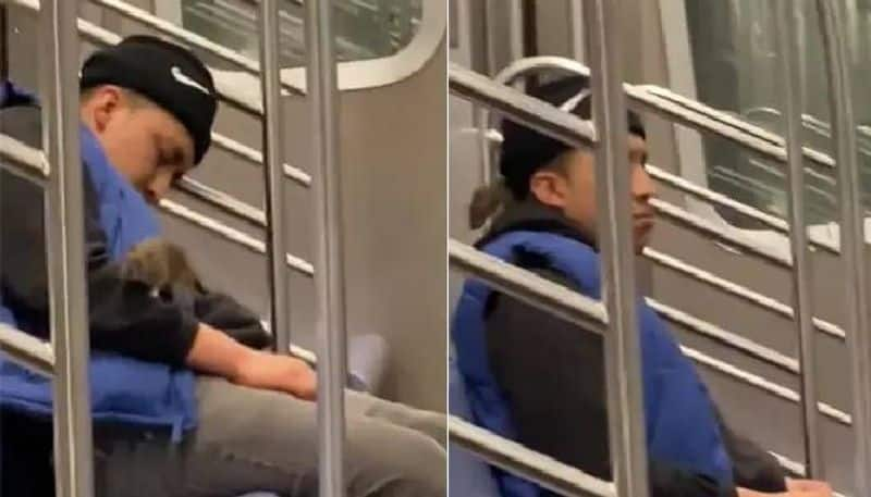 rat crawls on a man sleeping in New York Subway rlp