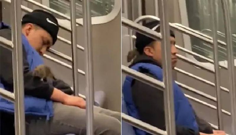 rat crawls on a man sleeping in New York Subway rlp