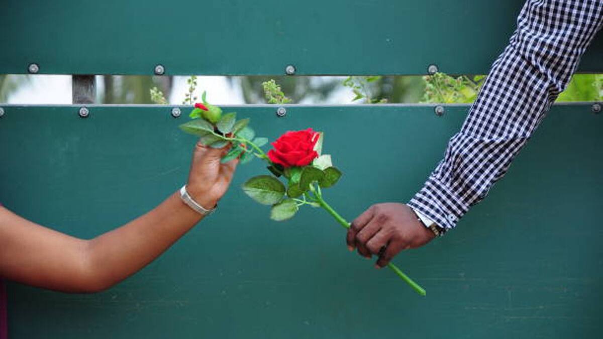 Rose Day 2023