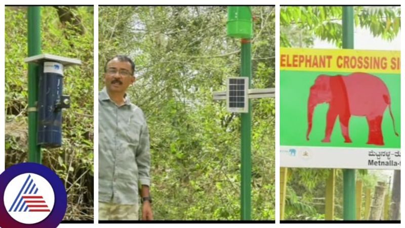 Kodagu forest department tests elephant crossing signal to detect crossing wild elephants gow