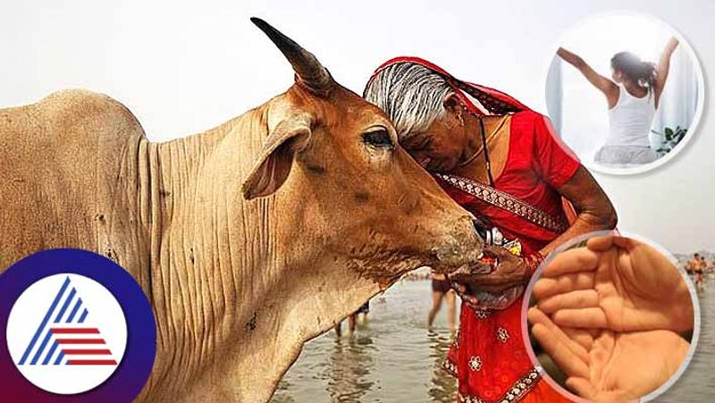 Good Morning Tips cow remedies for happy and prosperous life skr