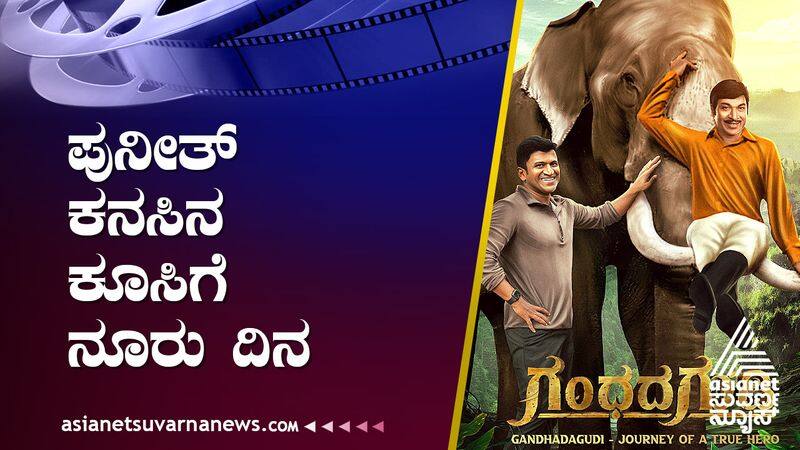 100 days since the release of Puneeth Rajkumar starrer Gandha Gudi suh