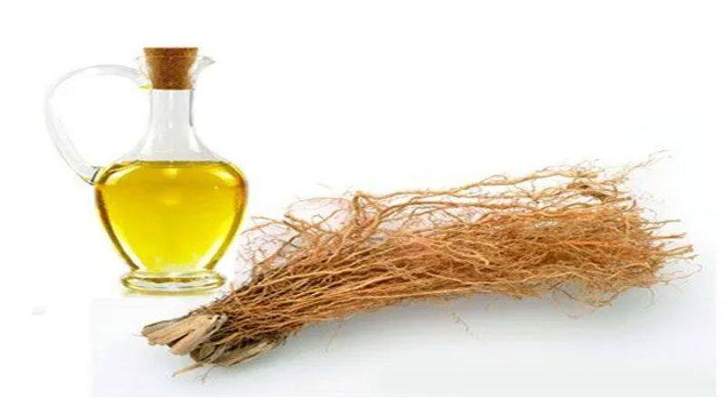 Do you know about the amazing benefits of Chrysopogon root oil? 