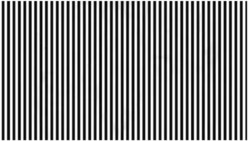 optical illusion Can you find an animal from this picture in 12 seconds bkg 