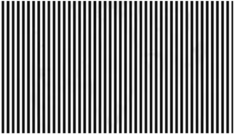 optical illusion Can you find an animal from this picture in 12 seconds bkg 